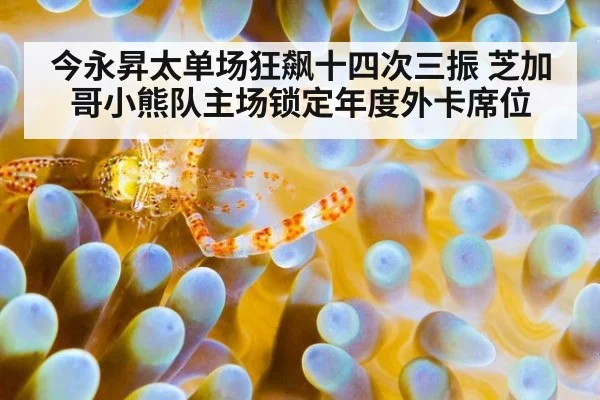 今永昇太单场狂飙十四次三振 芝加哥小熊队主场锁定年度外卡席位