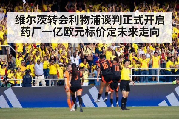 stadium crowd celebrating